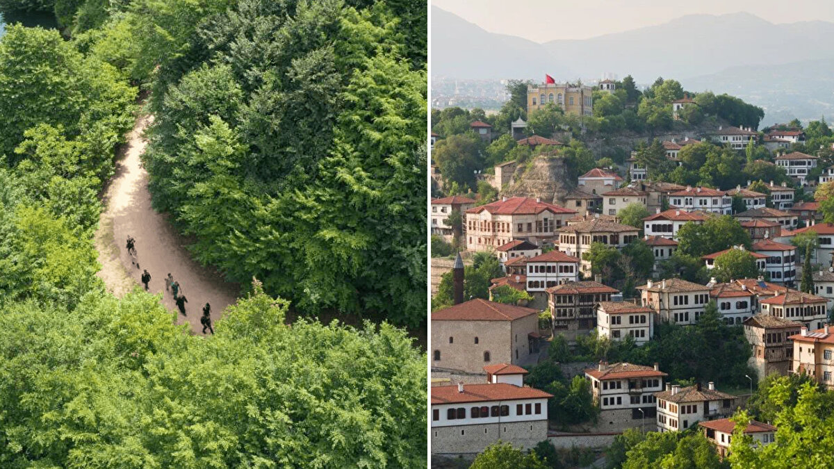 Türkiye nin en yeşil kentleri belli oldu