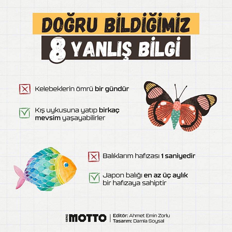 Doğru bilinen yanlışlar