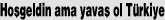 Hogeldin ama yava ol Trkiye