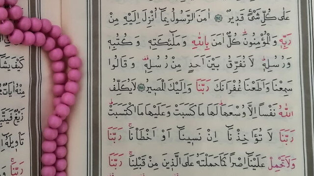 yasin suresi dinle diyanet