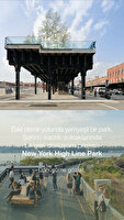 Arkitekt