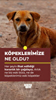 Gerçek Hayat