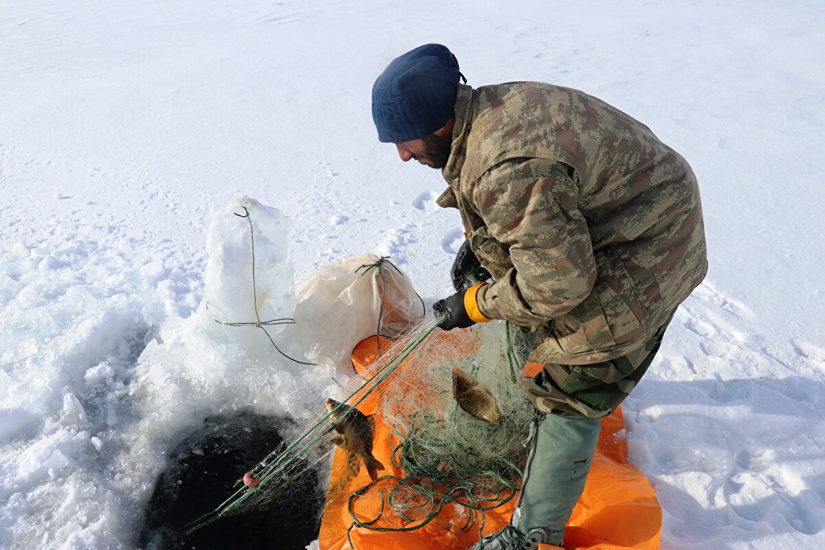 Soğuk havalar sonrası gölün yüzeyi tamamen buzla kaplandı. Buzun üzerindeyiz ve altımızda 25 metrelik bir derinlik var. Ağlarımız bir hafta boyunca gölde suyun içerisinde kalıyor. Daha sonra gelip buzları kırıp ağlarımızı çıkarıyoruz.