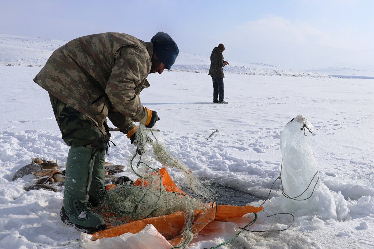 - Buzla kaplı gölden balık çıkarmak bir haftalarını alıyor
Yer yer bir metre kalınlıktaki buzları kırarak 50 metre aralıklarla ağları göle bırakan köylüler, daha sonra bu yerleri işaretleyerek beklemeye koyuluyor. Yaklaşık bir hafta sonra tekrar bölgeye gelen balıkçılar, işaretledikleri buzlu yerleri küreklerle yeniden kırıp ağları sudan çekmeye başlıyor.