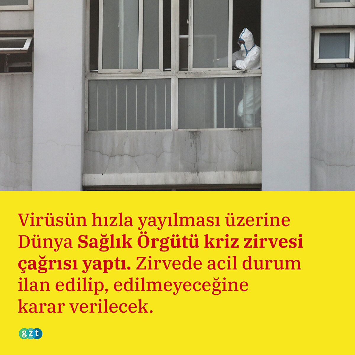 Evcil hayvanlardan çiftlik hayvanlarına, yarasalardan deniz canlılarına kadar birçok organizma tarafından taşınabilen koronavirüsün birçok türü olduğu savunuluyor