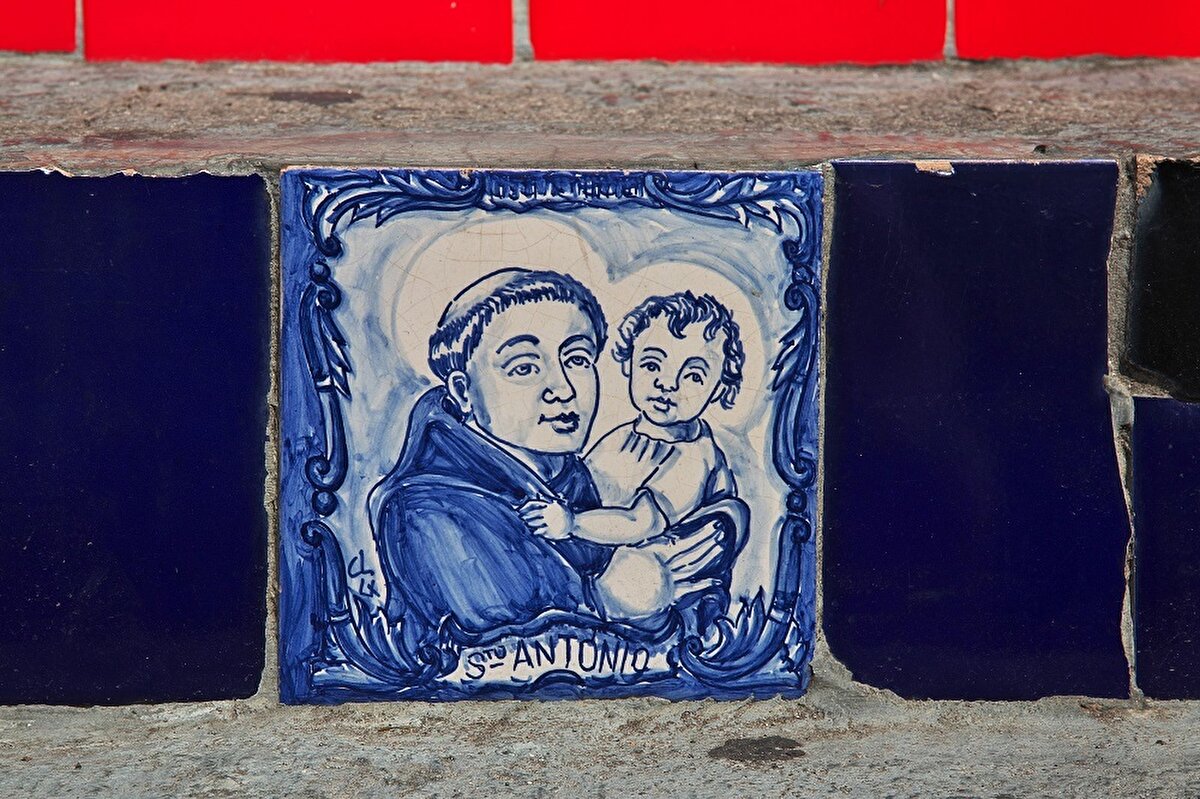 💙 Selaron, merdivenlerin bir bölümünde Brezilya bayrağının renkleri olan mavi, yeşil ve sarı fayanslar kullanır. Daha sonra merdivenlerin küçük bir bölümünde yaptığı bu değişim onun için bir takıntıya dönüşür. Merdivenlerin sonuna doğru özellikle merdiven kenarlarındaki duvarlara kırmızı renk hâkim olur. Çünkü sanatçı, “Bazı renkler vardır, özellikle kırmızı, olduğu her yere sevinç getirir düşüncesindedir.