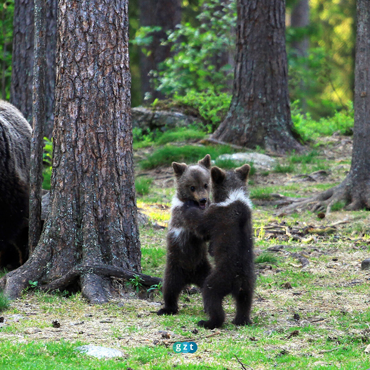 Oyun zamanı 😁🧸