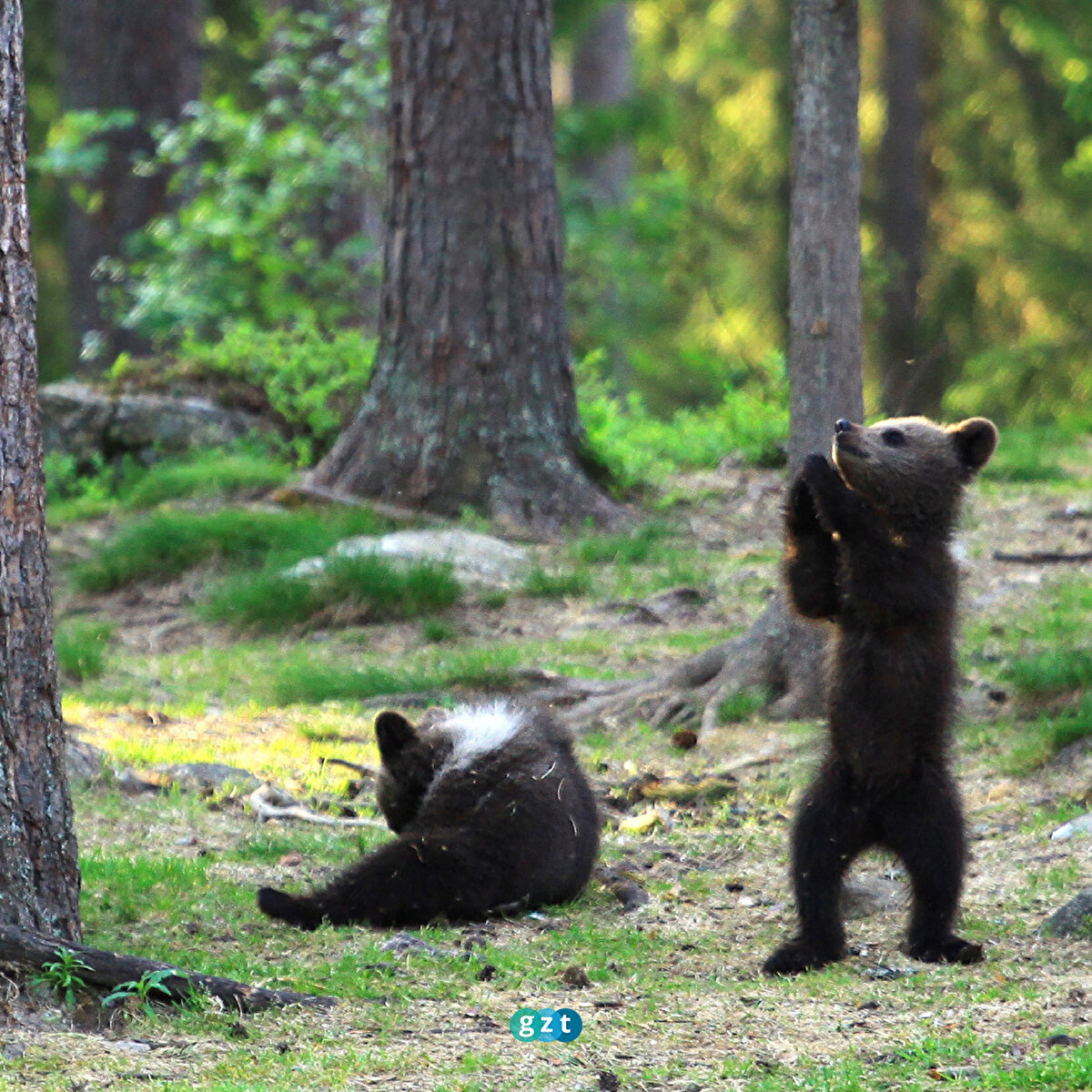 Oyun zamanı 😁🧸