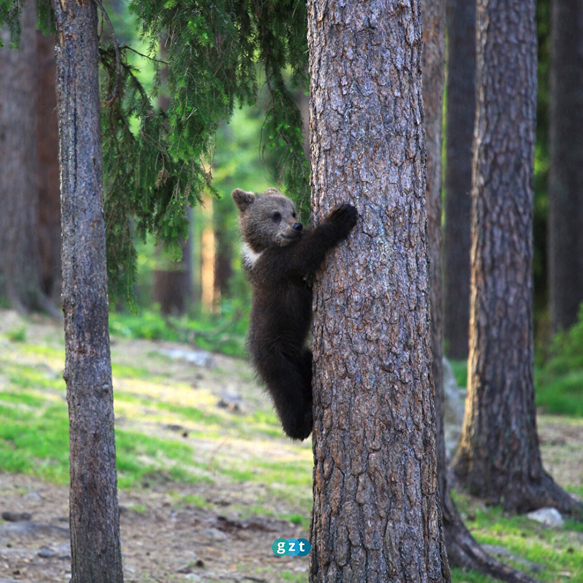 Oyun zamanı 😁🧸