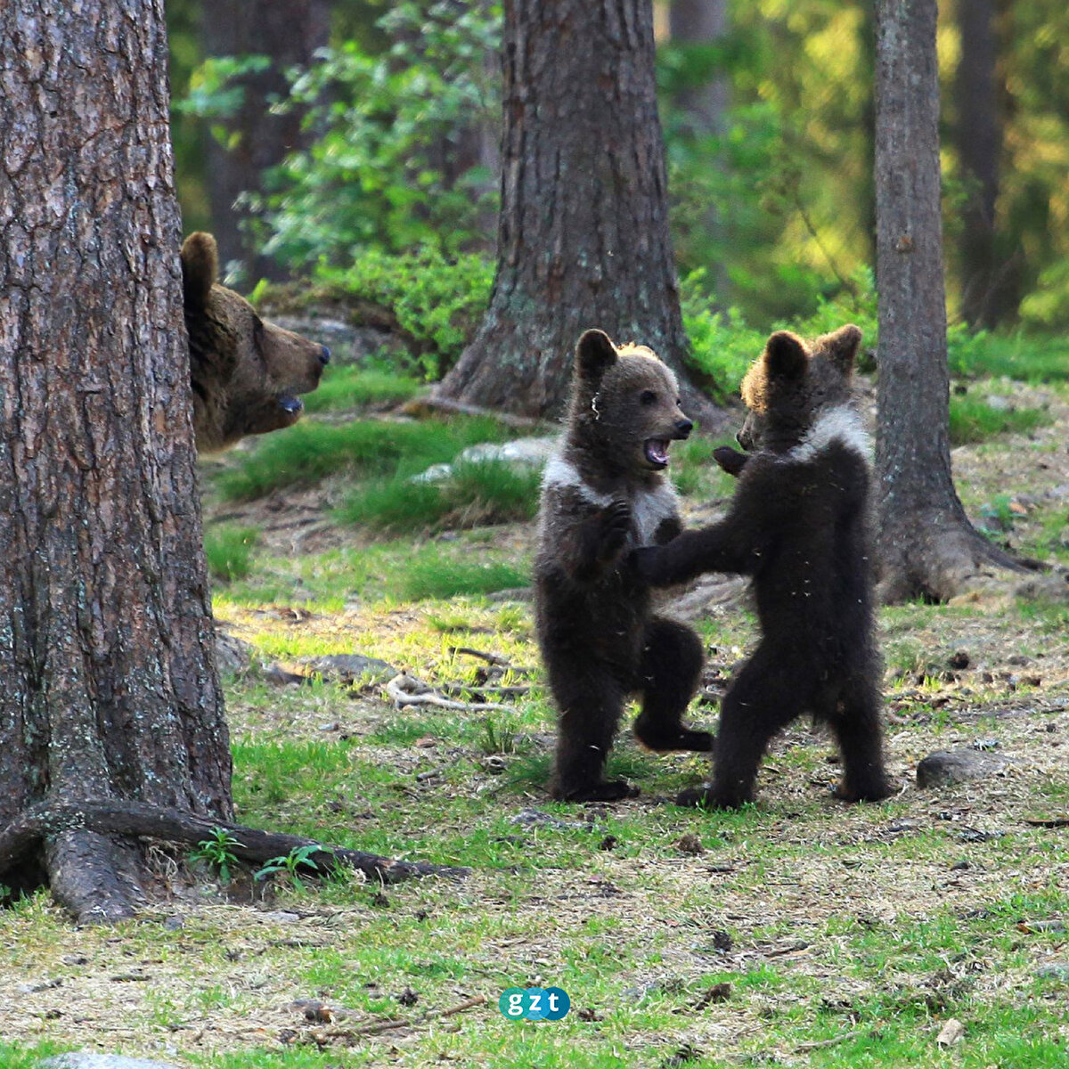 Oyun zamanı 😁🧸