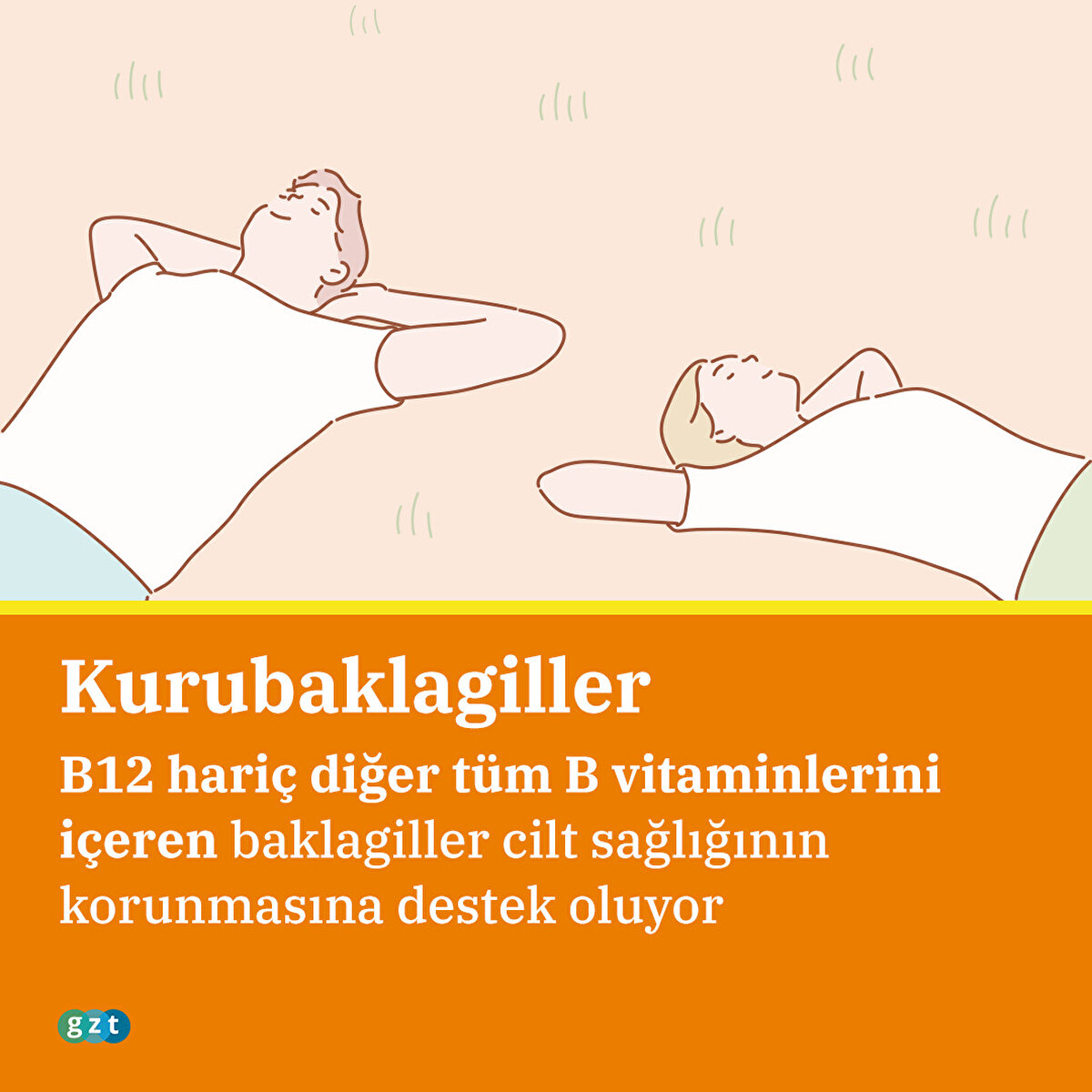 B12 hariç diğer tüm B vitaminlerini içeren baklagiller cilt sağlığının korunmasına destek oluyor