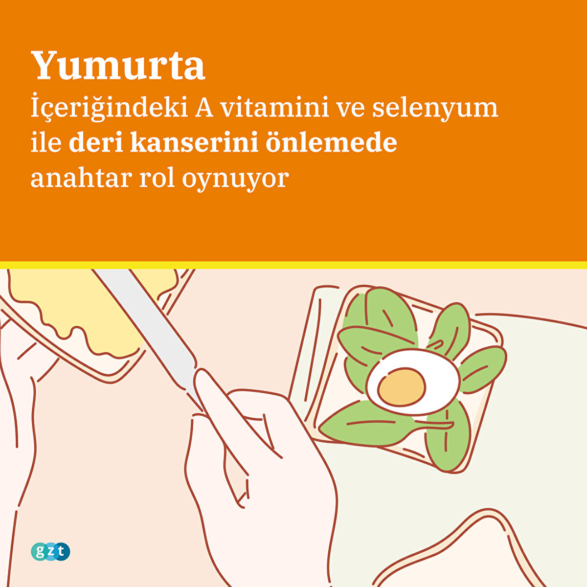 İçeriğindeki A vitamini ve selenyum ile deri kanserini önlemede anahtar rol oynuyor
