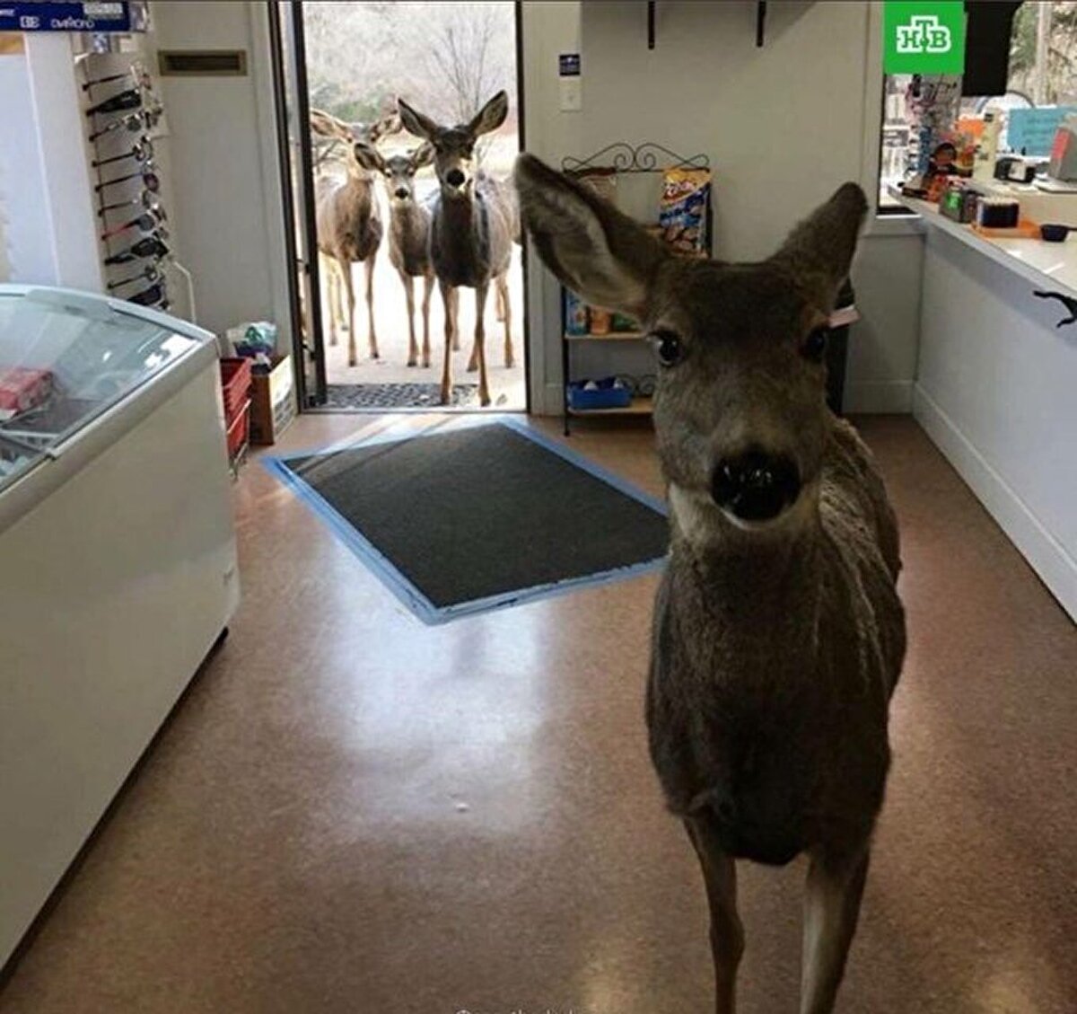 En güzel misafirlik budur diyebilir miyiz?​