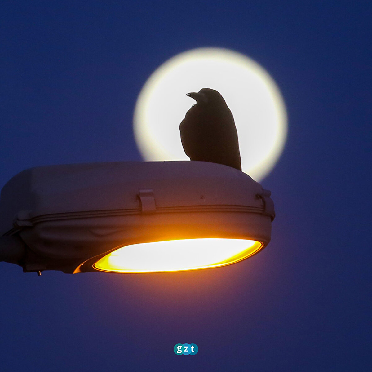 Ülkemizden 'dolunay' manzaraları 🌑