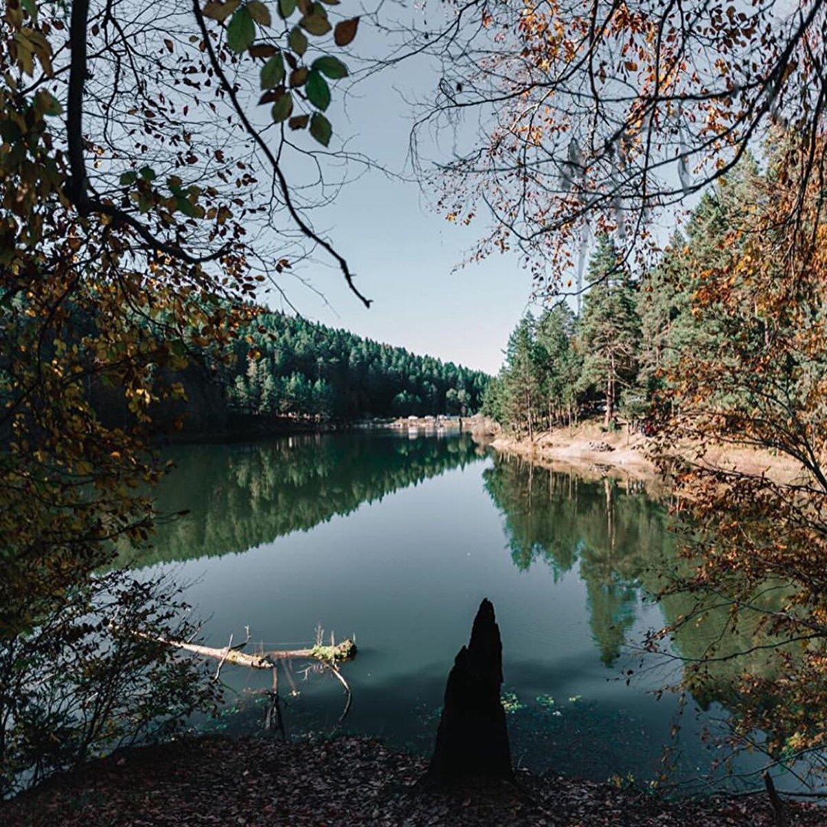 📌Bozcaarmut, Bilecik