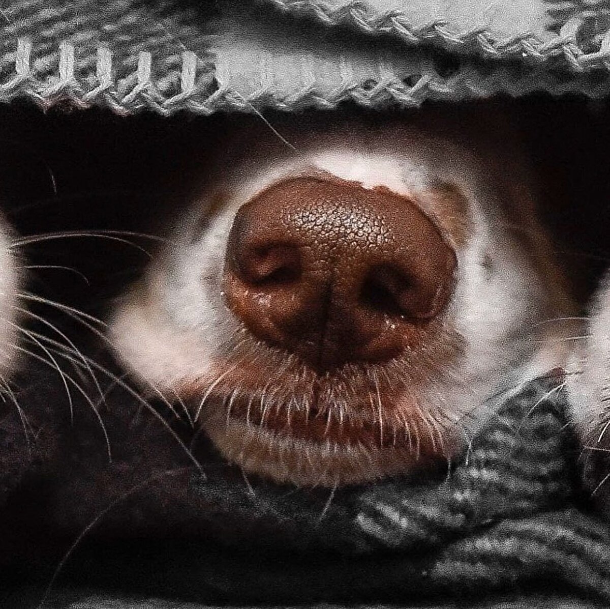 📌Yeni aldığın, yarım bıraktığın ya da bir ara okurum diye kenarda tuttuğun o kitabı artık okuyabilirsin. Yanında sıcak bi' şeyler içmek de fena fikir değil. Birazoku.com sitesinde kitapların ilk sayfalarından biraz okuyabilir, satın almadan önce fikir sahibi olabilirsin.📚