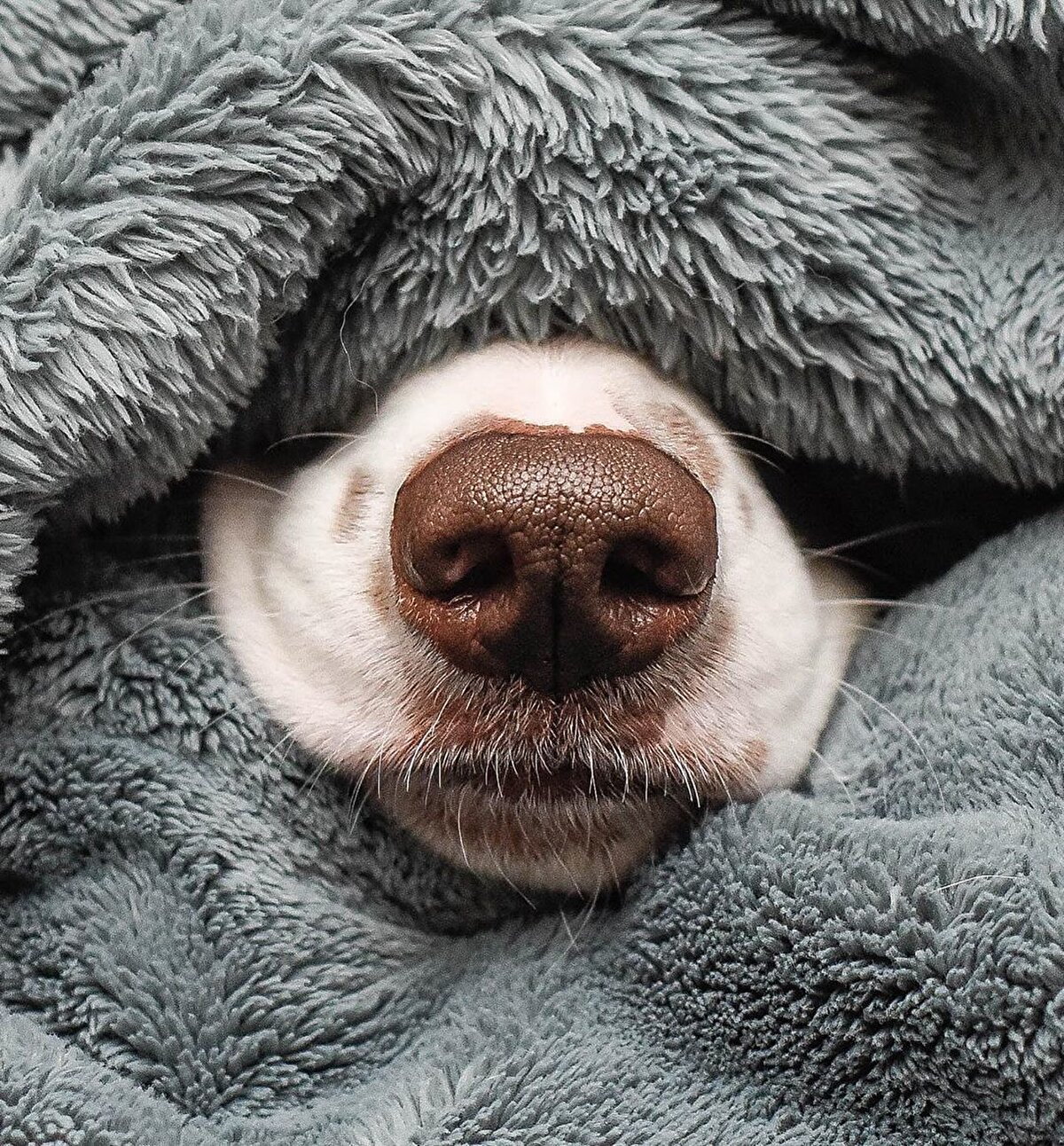 📌Film izleme önerisini biraz sınırlandırmamız gerekirse: @skyroaddergi hesabını biraz karıştırıp bu zamana kadar önerdiğimiz filmlerden birini seçip hemen başlayabilirsin ya da @gzt YouTube kanalına koşabilirsin.🍿