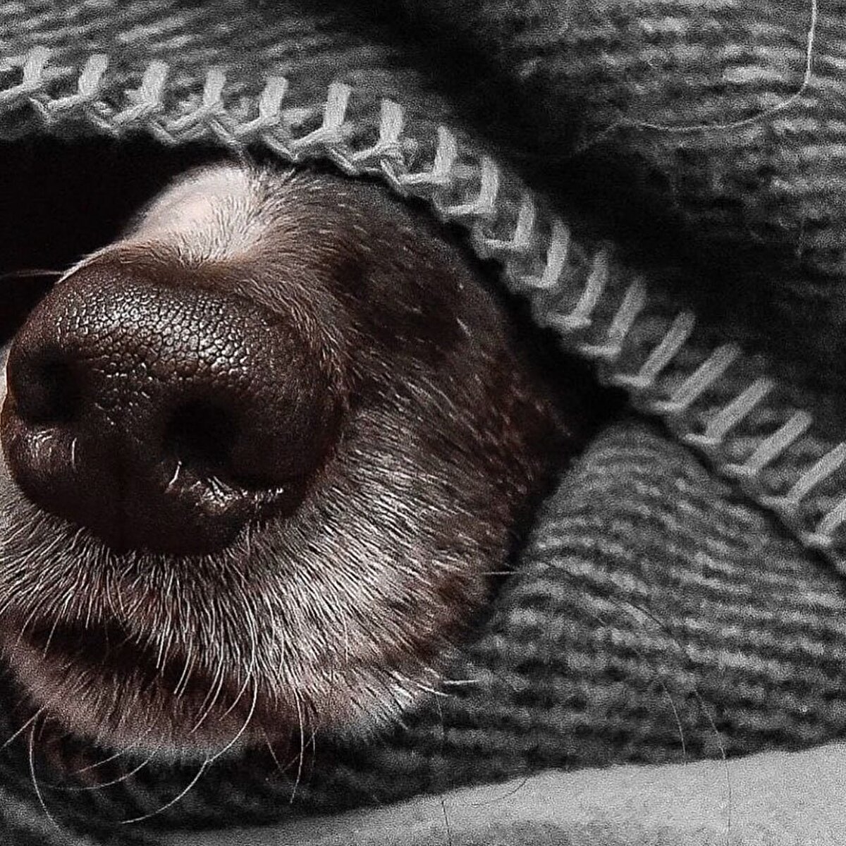 📌Bugünü 'kullanmadığım eşyalardan kurtulma günü' ilan edebilirsin. Bu ilanın öncesinde 'Minimalizm' ya da 'Tidying Up, Marie Kondo' izlemek seni cesaretlendirebilir. Kullanmadığın eşyalardan, giymediğin kıyafetlerden kurtulmak seni hafifletir!☀