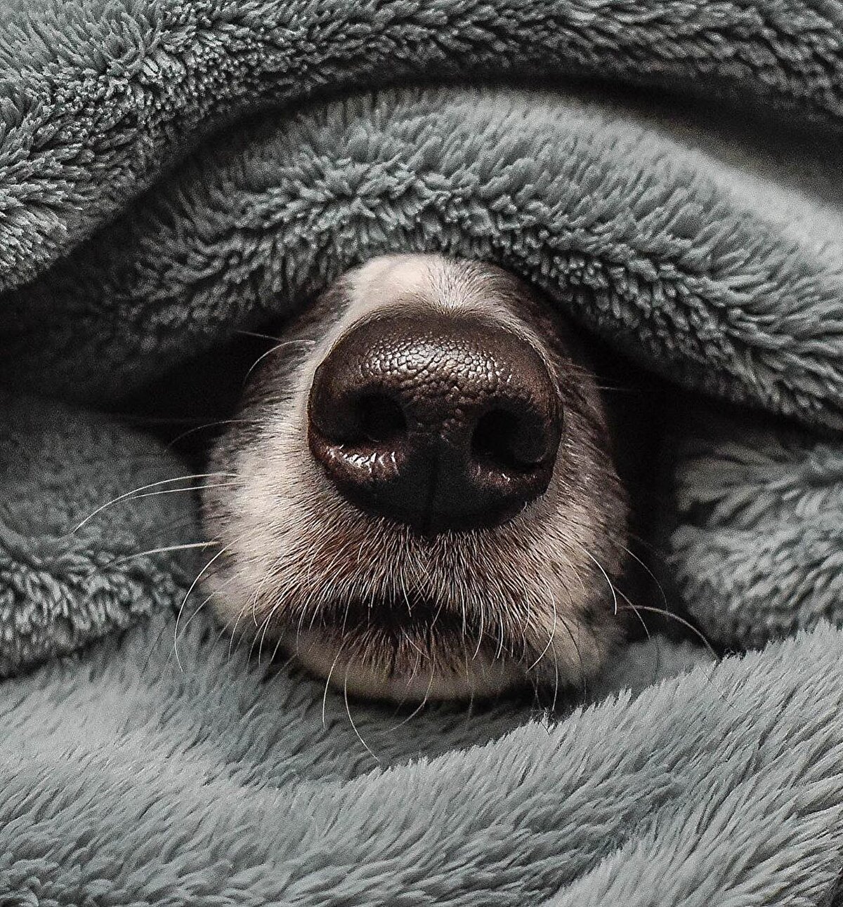 📌Evin dekorasyonunda yapacağın küçük değişiklikler, ne zamandır gözünün içine içine bakan o bitkiyle ilgileneceğin minik bir an hem sana hem eve çok iyi gelir. Bunun tam vakti!🌱