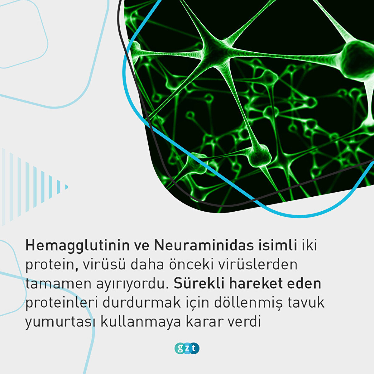 Bir bilim insanının dikkati 1950'lerde felaketi önlemişti