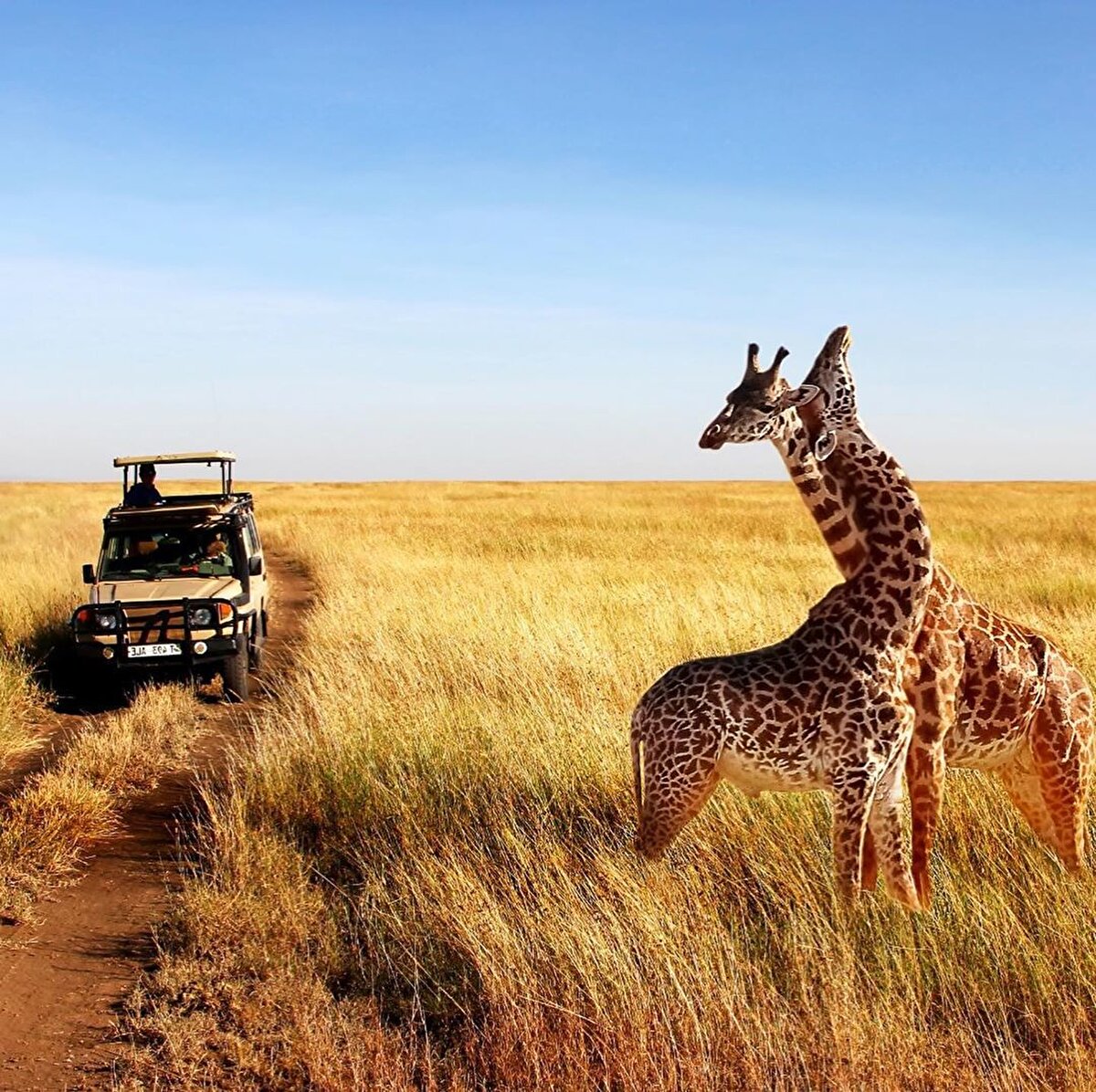 ✈Gitmek için yaz ayları ideal, çünkü orada mevsim kışa dönmüş oluyor. Serin rüzgâr yüzünüze vururken, sıcak denizde saatlerce yüzebiliyorsunuz.