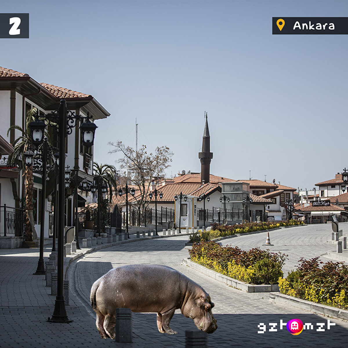 Sokağa çıkma yasağı en çok doğaya yaradı