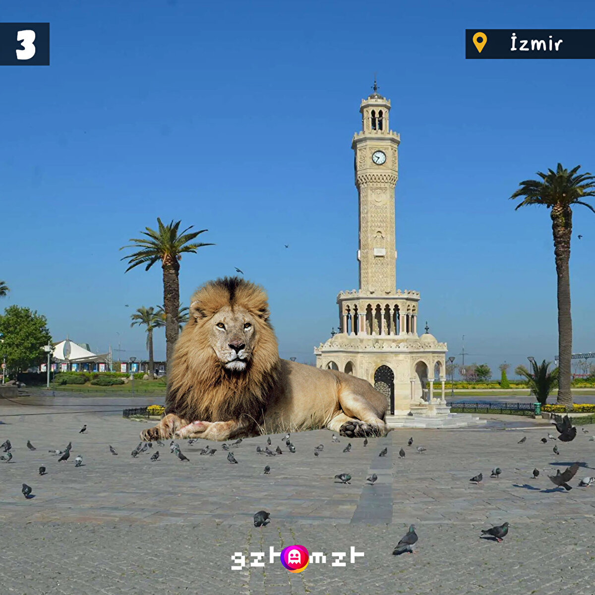 Sokağa çıkma yasağı en çok doğaya yaradı