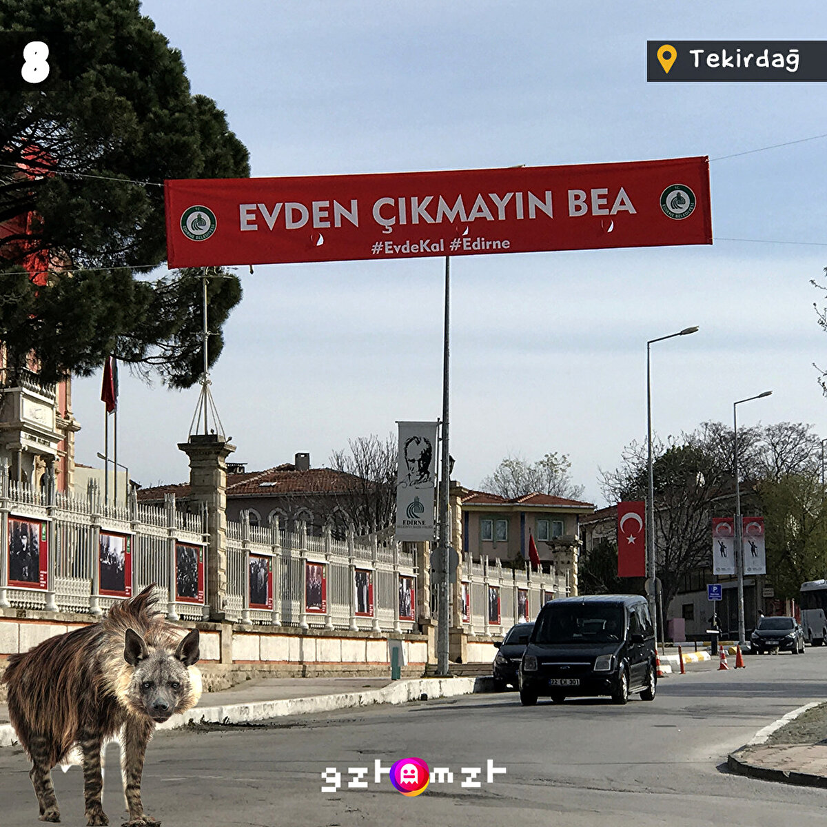 Sokağa çıkma yasağı en çok doğaya yaradı