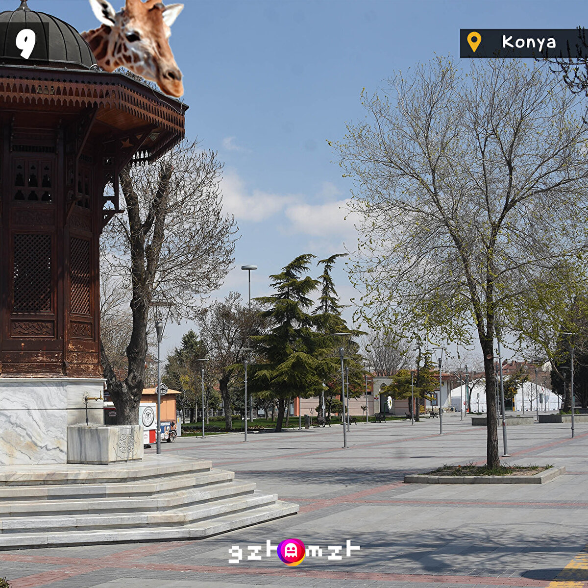 Sokağa çıkma yasağı en çok doğaya yaradı