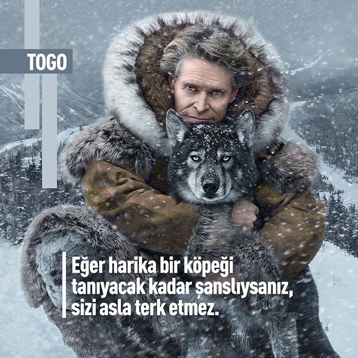 🐶 Togo: Togo, kasabayı etkisi altına alan salgının tedavisi için zorlu bir yolculuğa çıkan bir adam ve köpeğin hikayesini konu ediyor. Ölümcül salgın Nome kasabasını etkisi altına almıştır. Tek tedavi serum 600 mil ötedeki kasabadadır. Kasaba halkı, serumun getirilebilmesi için Leonhard Seppala’dan yardım ister. Yardım etmeyi kabul eden Leonhard Seppala, cılız görünümlü, yaşlı bir Sibirya kurdu olan Togo ile birlikte yola çıkar. Seppala ve Togo, yolculuk sırasına korkunç bir fırtınayla karşılaşır. -70 dereceye varan soğukta Togo ve Seppala büyük bir yaşam mücadelesi verecektir.