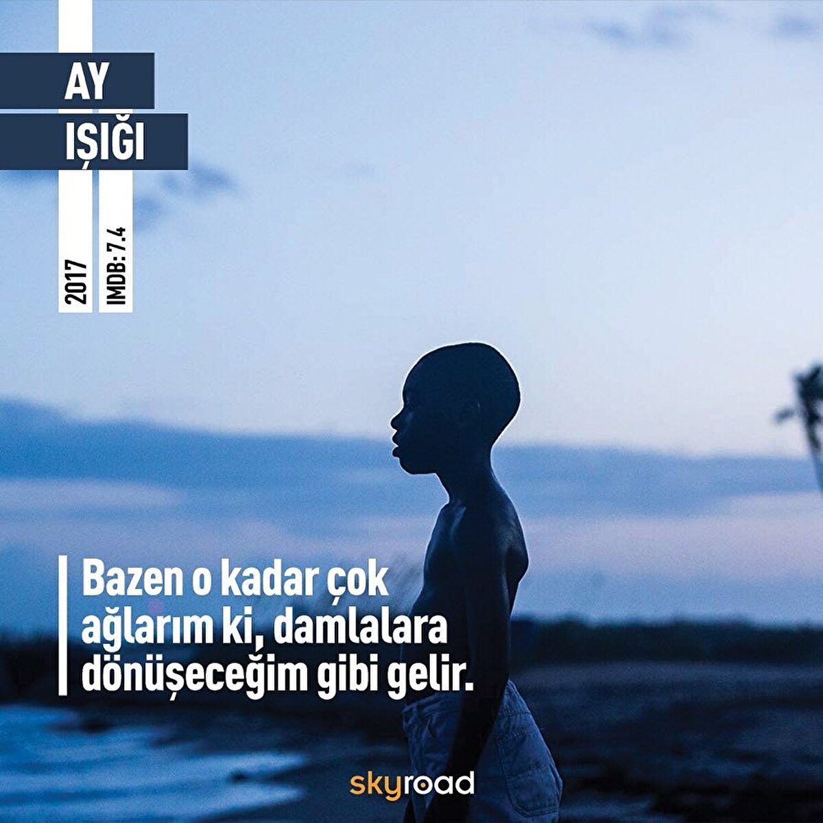 🌕 Ay Işığı: Film, Miami'de siyahların yaşadığı yoksul ve suçla dolu bir gettoda büyüyen Chiron'un çocukluğundan, yetişkinliğine kadar olan süreçte çetin koşullar altındaki yaşamını ve kendini keşfetmesini anlatıyor. 8 dalda Oscar adayı olan Moonlight En İyi Film, En İyi Yardımcı Erkek Oyuncu ve En İyi Uyarlama Senaryo ödüllerini aldı.