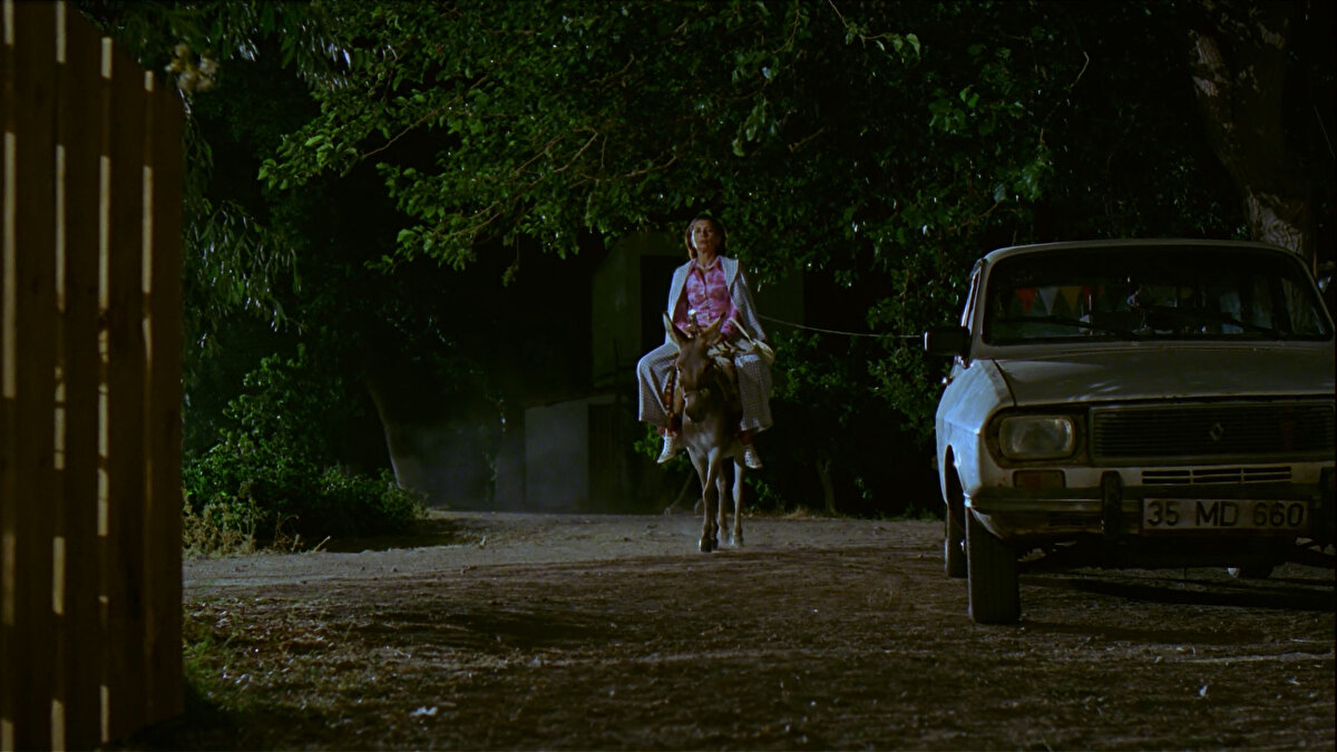 Giyimiyle, hareketleriyle aileye renk katan karakterlerden biri ise Şerif Sezer'in canlandırdığı büyük teyze Gülbeyaz. 