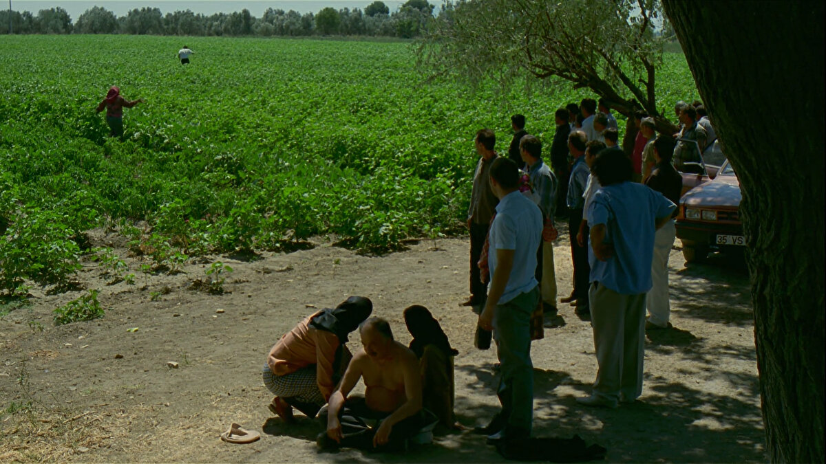 Filmin doğallığının sırrı yoğun dram sahneleriyle güldüren sahneleri birbiriyle uyumlu ve iç içe verilmesinde.
