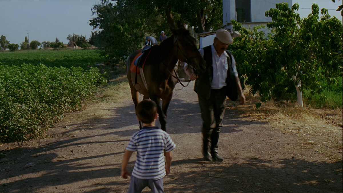 -Hoşgeldin kahraman... Sen benim dedem misin?