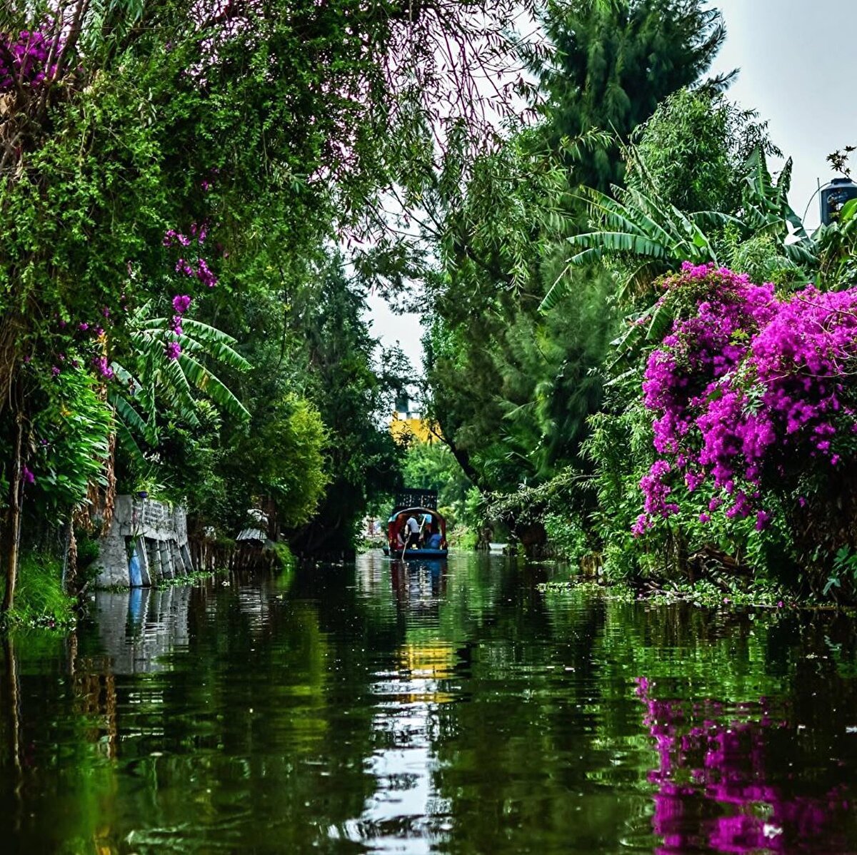 🏙 Mexico City⠀
Latin Amerika’nın en zengin şehrindeyiz. Kültürel açıdan da o kadar zengin ki, sadece bir gün içerisinde Antik bir Aztek şehrini gezip, kanallarda teknelerle dolaşıp, galerilerde tablolara, müzelerde paha biçilmez eserlere bakıp akşam da sokaklarda Mariachileri dinleyebilir, kostümlerin göz aldığı showlara katılabilirsin. ⠀