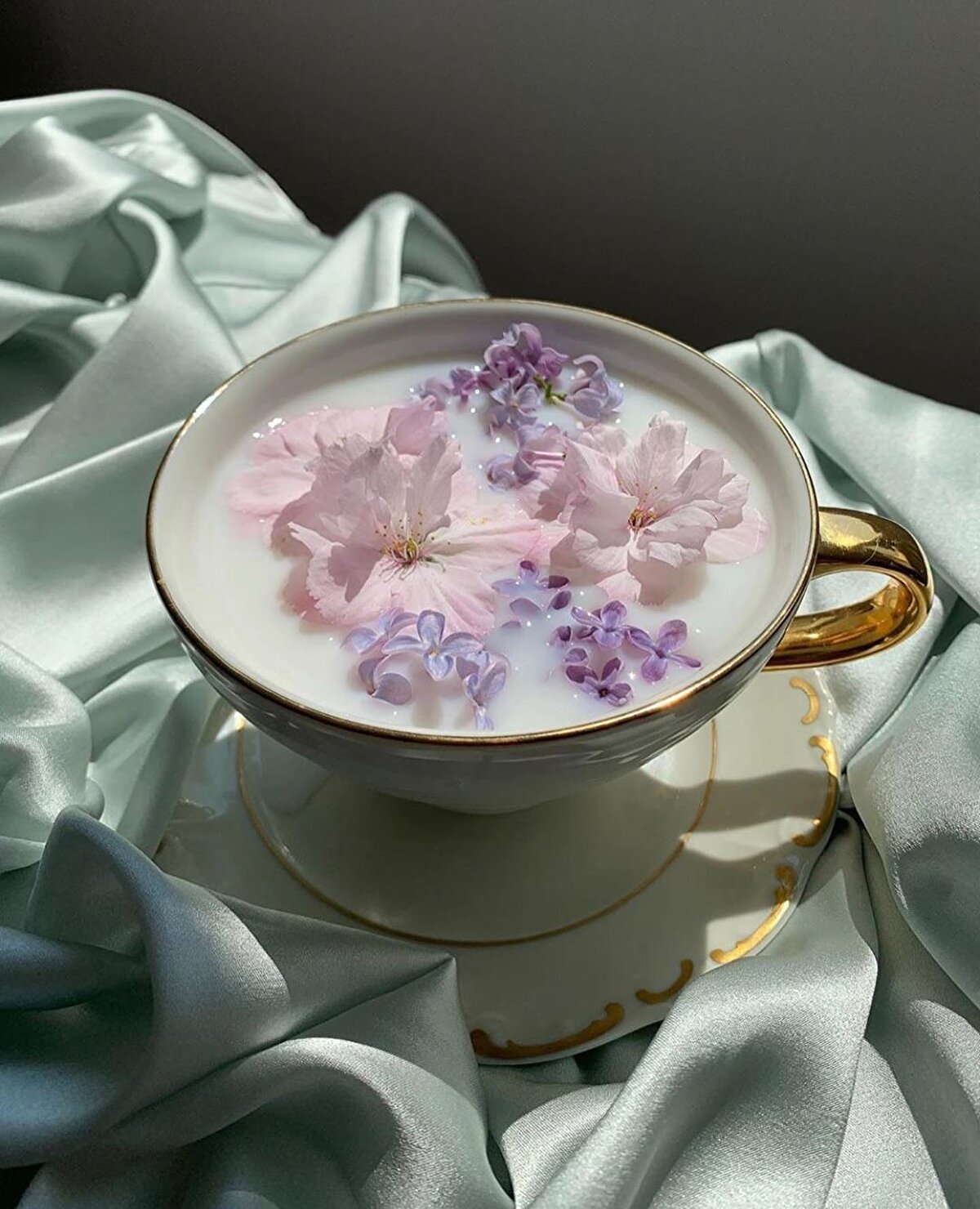 Biz sadece bu fotoğraflara bakarak bile bir miktar sakinleştik. 🤭🧡