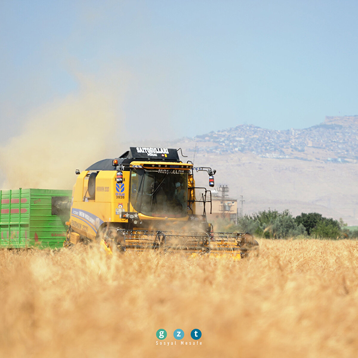 Mezopotamya'nın en eski buğday tohumundan 560 ton rekolte bekleniyor