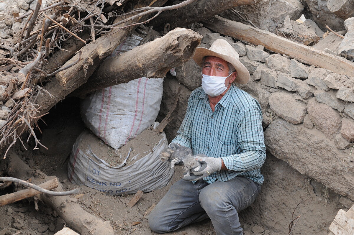 Depremden etkilenen Yedisu ilçesinin Elmalı köyünde hasar gören yapılarda enkaz kaldırma çalışmaları kapsamında bir samanlık enkazında 2'si sağ 3 kedi yavrusu bulundu.