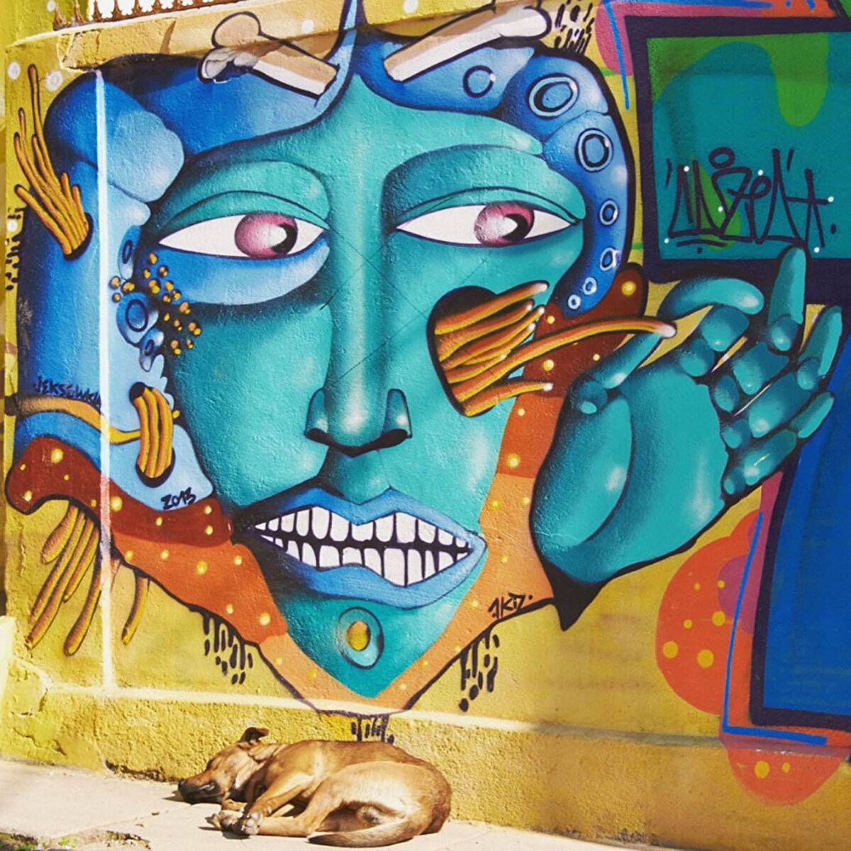 🌃Valparaiso tepelerle çevrili bir şehir. Ancak şehir merkezi kuralcı bir planla inşa edilmiş. Bu nedenle şehirde yürüyüşe çıkmak ayrı bir keyif. Tepelere uzanan renkli sokaklarda ara ara asansörleri kullanarak yürüdükten sonra ulaşılan seyir terasları ise ayrı bir güzelliğe açılıyor.