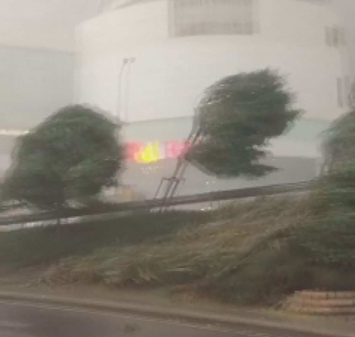 Üsküdar'da yollar göle dönerken esen rüzgar ağaçları yerinden sökme noktasına getirdi.