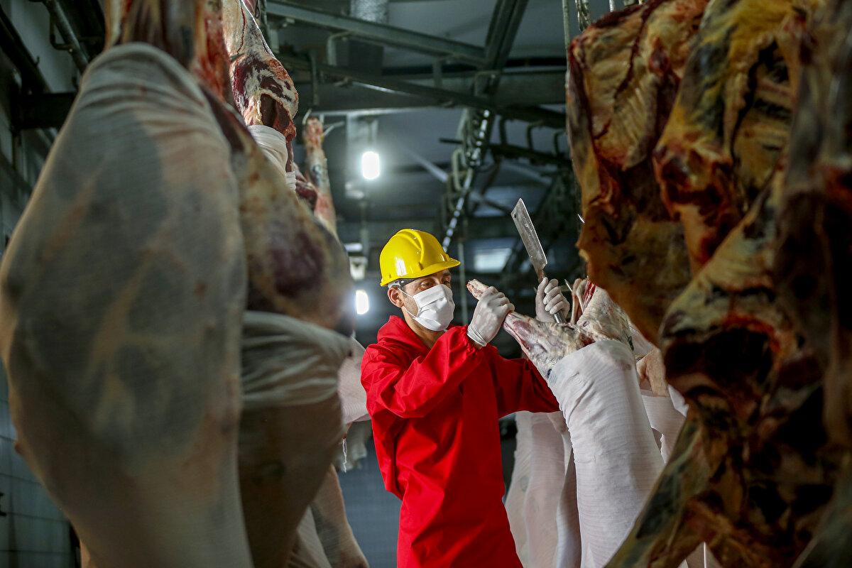 Vatandaşların salgın nedeniyle çok dikkatli olması gerektiğini vurgulayan Yardımcı, "Fırsatçılık olmasın, biz kesim için hazırız. Uygun yerlere kesim izni verilsin. Mezbahada 3 veteriner hekim gözetiminde, kesim öncesi, kesim sırası ve sonrasında üç sefer muayene ediliyor, etin analizi yapılıyor." dedi. 