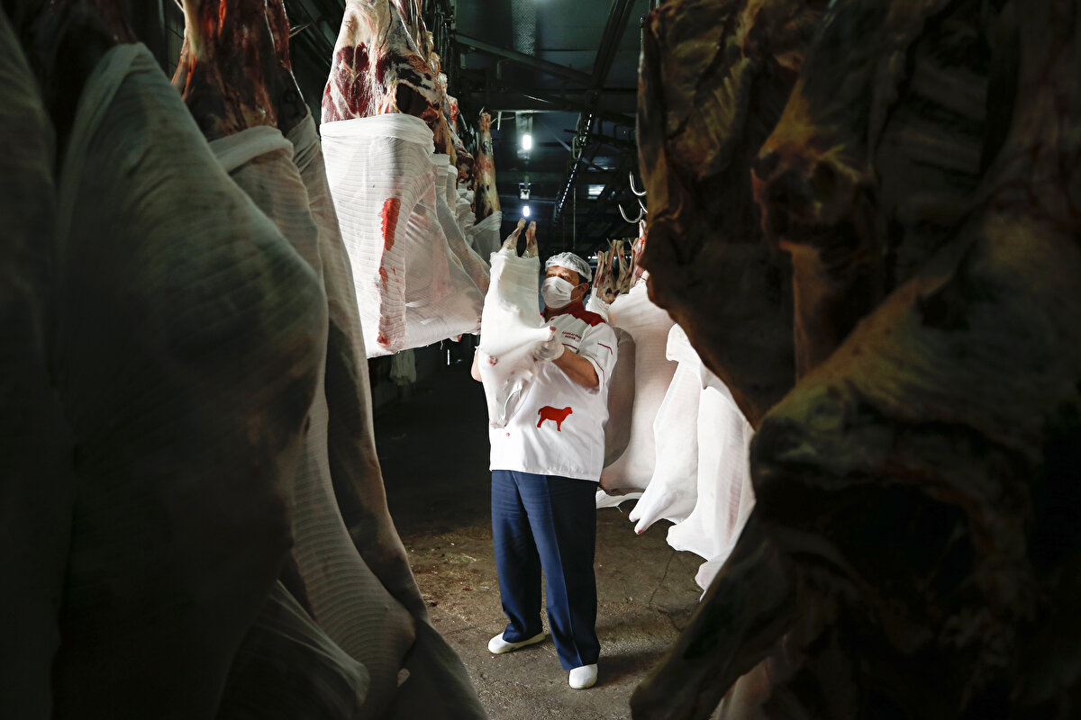 Mahalle ve sokak aralarındaki kesimlere müsaade edilmeyeceğini anlatan Yardımcı, şunları kaydetti:

"İnsan sağlığı her şeyden önemli. Kovid-19'un yayılmaması için hiçbir masraftan kaçınmıyoruz, sıkı tedbirler alıyoruz. Bir kurbanı 7 kişi kesiyor. Hepsi de ailesiyle gelince 25-30 kişi oluyor. Vatandaşlardan bu konuda duyarlılık istiyoruz. Bir kurbana bir kişi gelsin. Burada kestiğimiz kurbanları firmaya vereceğiz, onlar paketleyip götürecek. Eğer eskisi gibi kalabalık gelirlerse, 100 kurbanlık dana için 3-4 bin kişi oluyor."