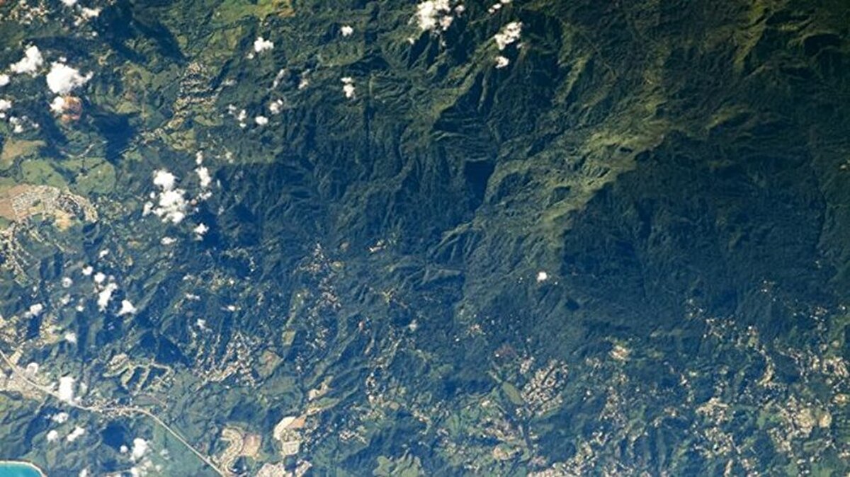 Luquillo Dağları (Porto Riko) 

