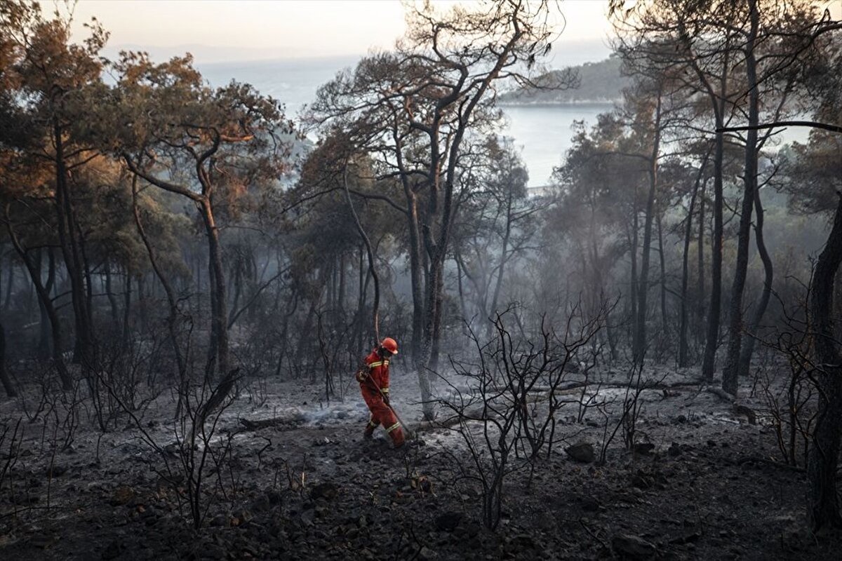 Hem yangına hem de soğutma çalışmasına katılan Heybeliada sakinlerinden Atilla Keke, “İlk önce bayrak tarafında yangın haberini aldık. Ondan sonra ikinci haber geldi Çamlık Limanı diye. Daha sonra üçüncü haber geldi mezarlık diye. Helikopterlerden bir taraftan söndürmeye başladılar. Biz de Adalılar olarak elimizden geleni yapmak için yukarıya çıktık. Herkes elinden geldiğinde bir şeyler yapmaya çalıştı. Bir taraftan kürek, bir taraftan bidonlar. Soğutma çalışmalarına kadar bitirdik. İtfaiye erleri çok yorulduk çok çaba sarf etti. Hortumları toplamalarına yardım ettik en son. Adalılardan elleri, bacakları yanan oldu, dumandan etkilenen oldu. Onlar ambulans dolmuşla hastaneye kaldırıldı dedi.