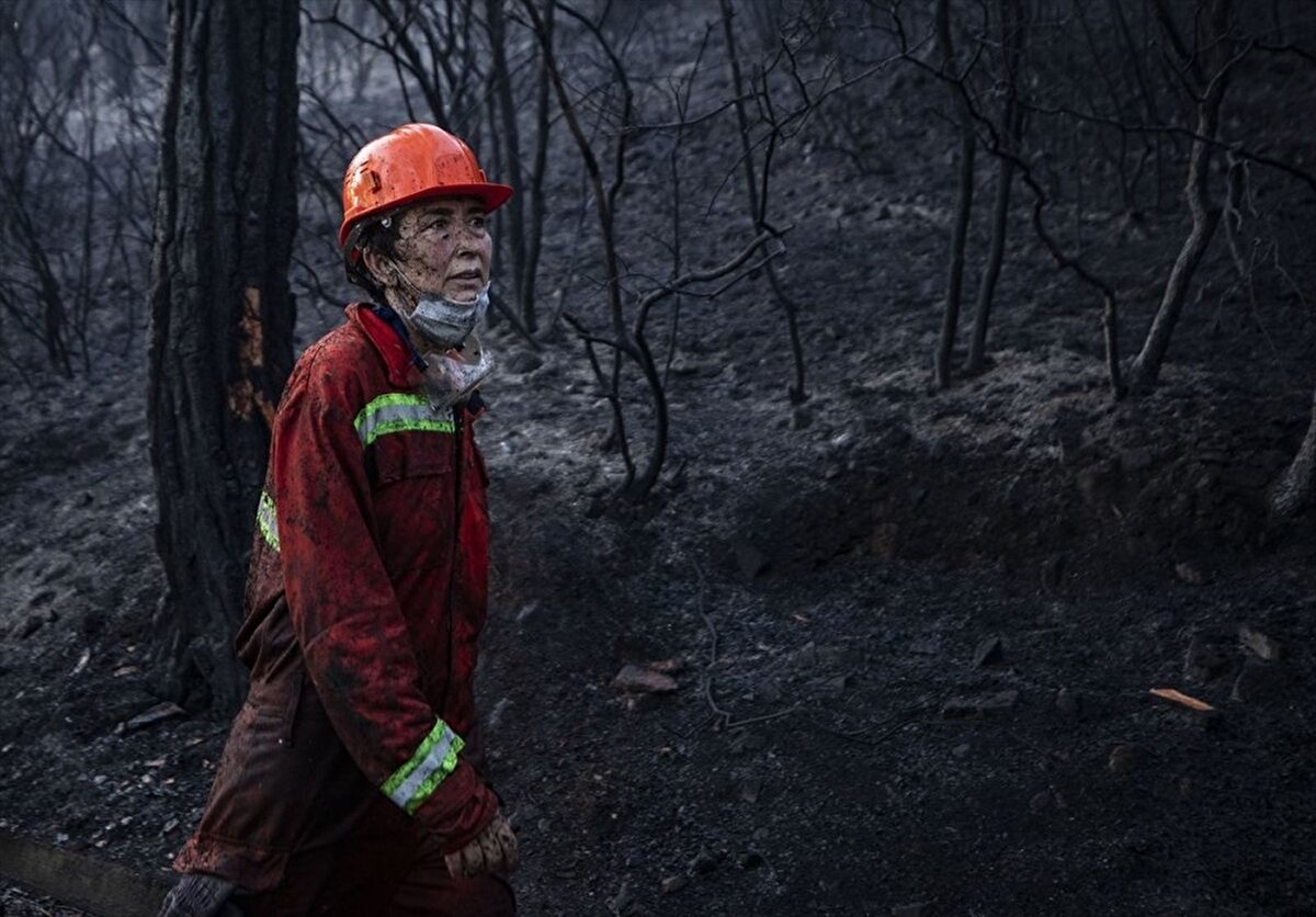 Orman Genel Müdürlüğü de Twitter hesabından Yangınla mücadelemizde bize destek olan, elinde bir kova bile olsa yangının üstüne koşan Heybeliada sakinlerine ve fedakar orman teşkilatına yürekten teşekkür ederiz. paylaşımında bulundu.