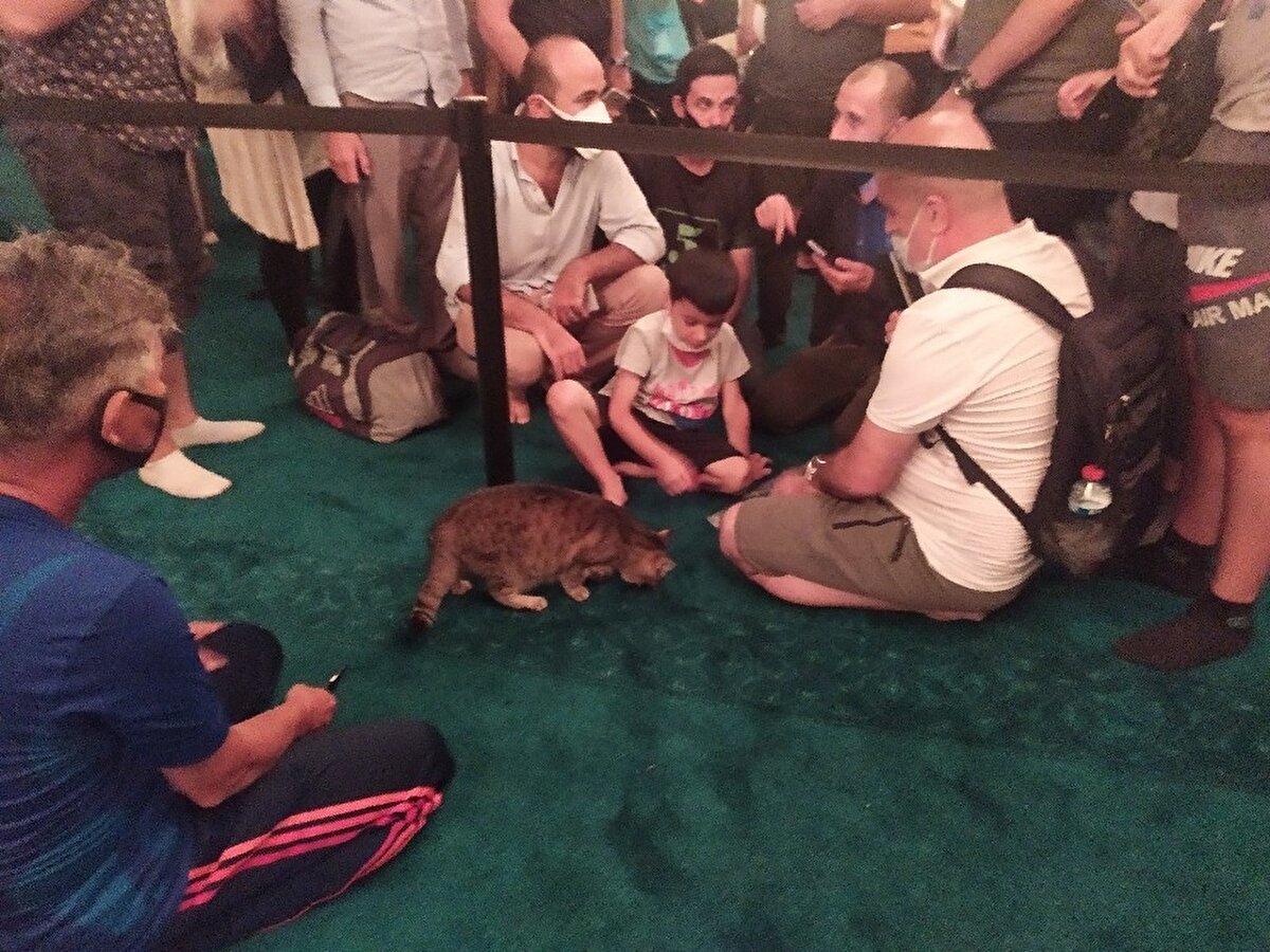 Ayasofya’nın kedisi olarak bilinen dünyaca ünlü kedi Gli, ziyaretçiler tarafından büyük ilgi görüyor.
