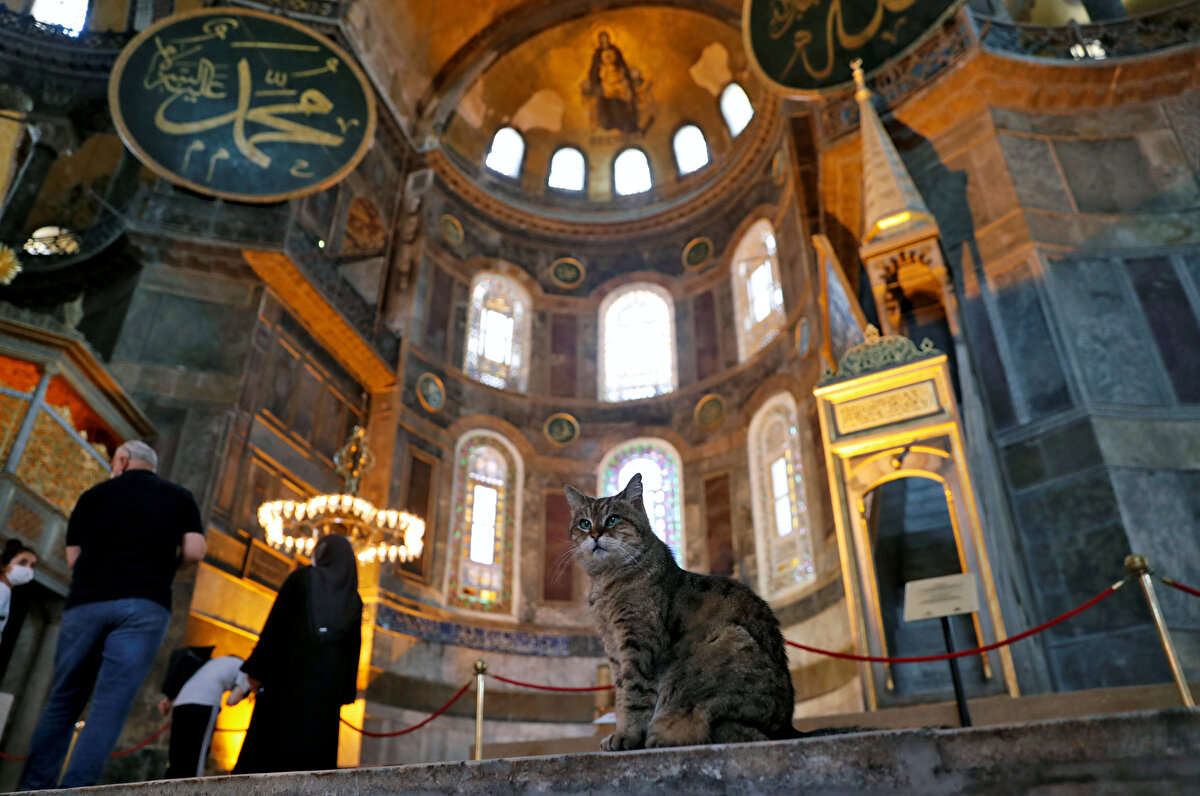 Ayasofya-i Kebir Cami-i Şerifi’ni ziyaret eden herkesin gözü meşhur kediyi ararken, bulanlar da cep telefonlarına sarılıyor.