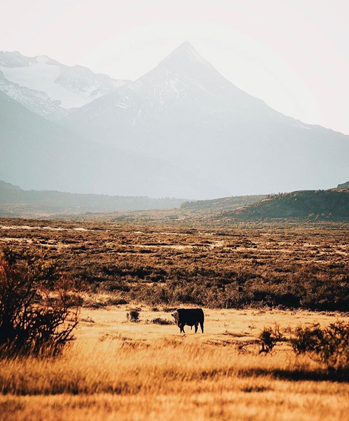 🚗 Park, başkent Santiago’dan yaklaşık 2 bin km uzaklıkta. Parka en yakın ticari havaalanı bölgedeki Punta Arenas şehrinde bulunuyor. Buradan yarım gün süren bir araç yolculuğuyla parka ulaşılabilir.⠀