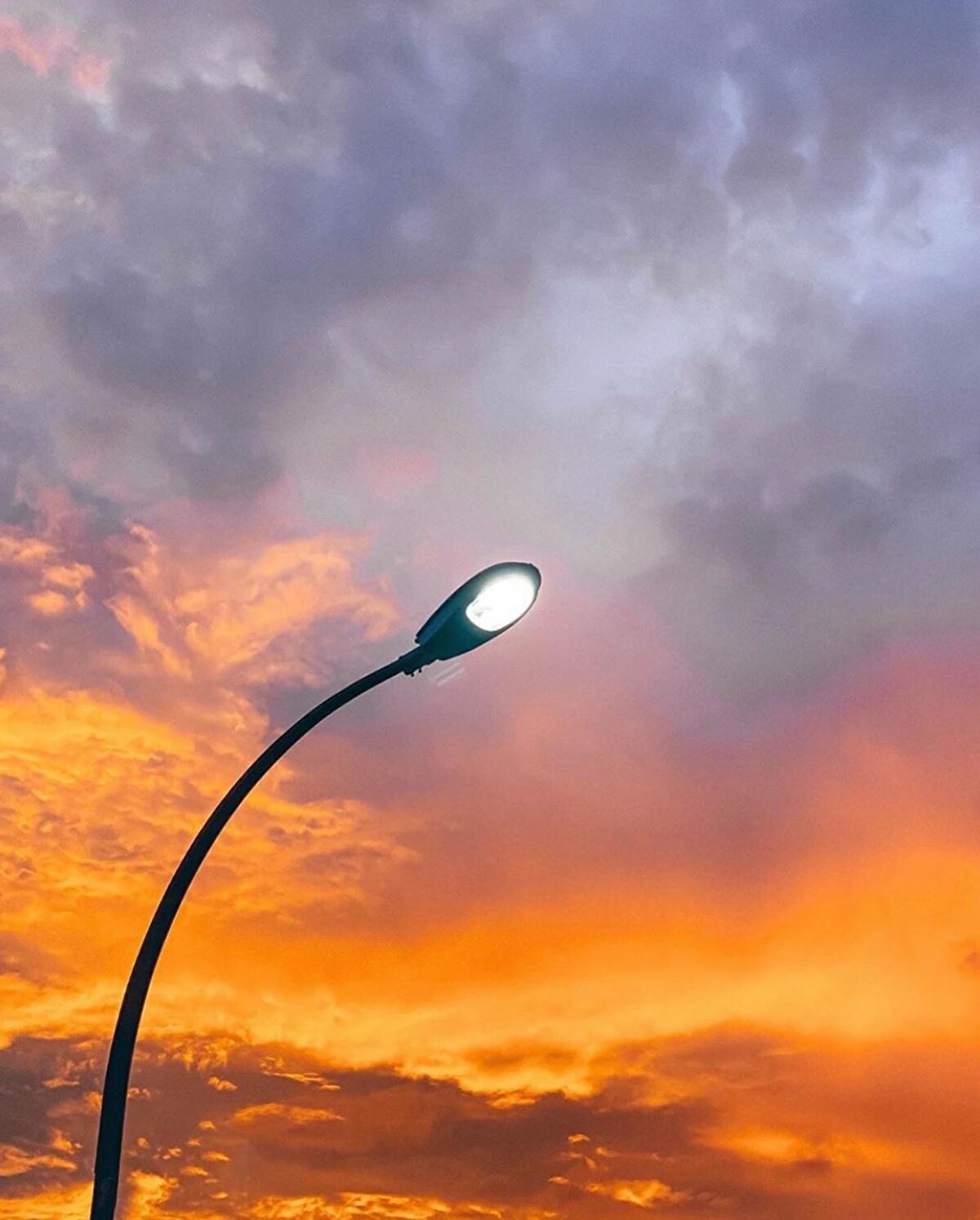 📌 Ayrıca kamuya açık tuvaletlerde sifon çekmemek, berbat kokan “durian” meyvesini toplu taşıma araçlarına sokmak, konutlarda (perde açıkken) çıplak bir şekilde dolanmak, kamuya açık yerlerde müzik aleti çalmak veya şarkı söylemek, komşuların kablosuz internetini çalmak, yerlere tükürmek ve güvercinleri beslemek yasak. Tüm bunlar kanunlar uyarınca binlerce dolar cezaya tabi. ⠀