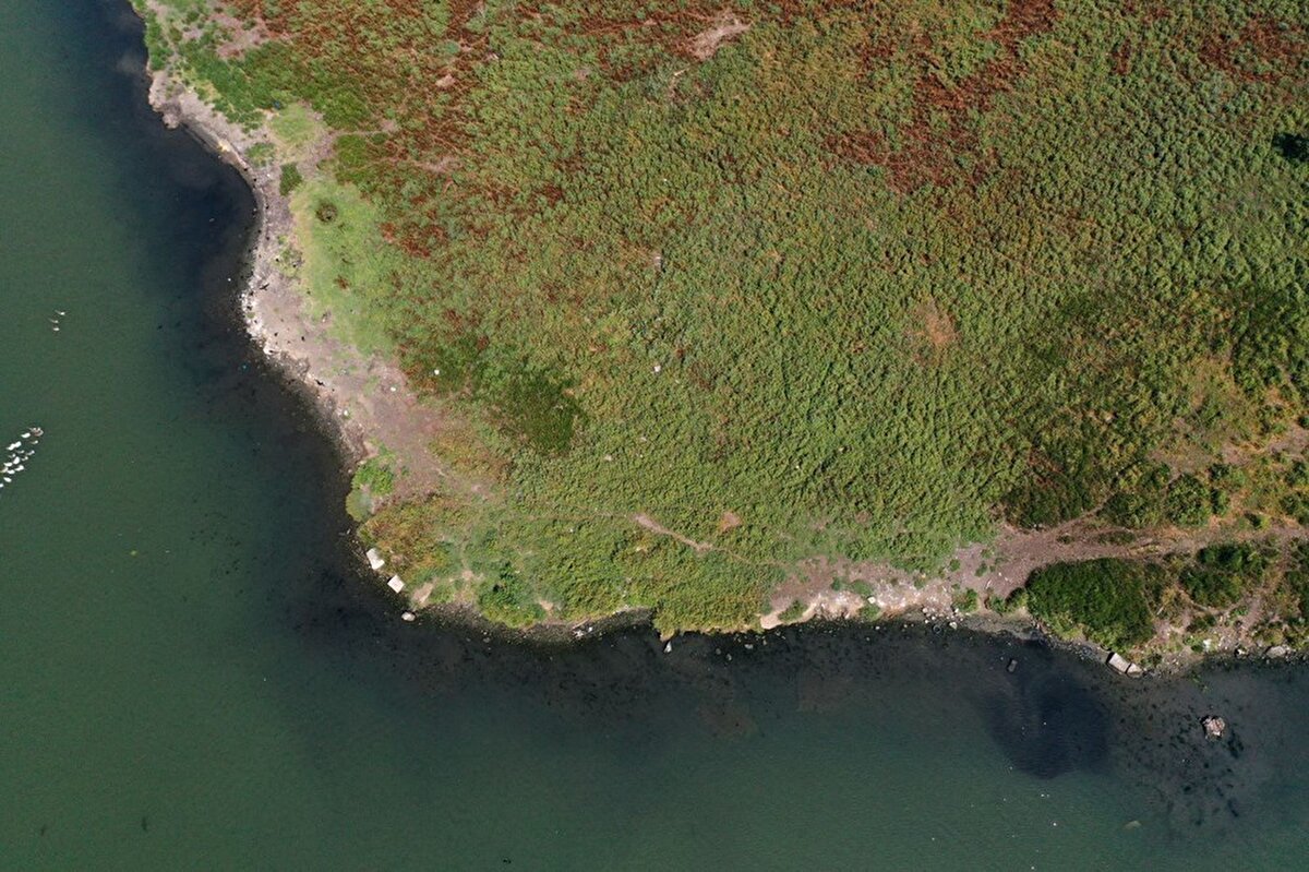 Haliç'in bazı kıyı kesimlerinde de çöplerin biriktiği gözlendi.
